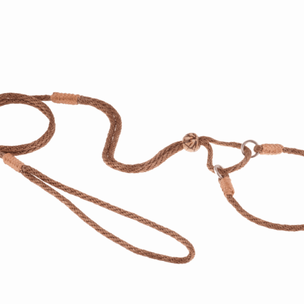 Nylon Martingale Leads (10in x 1/8in or 4mm)