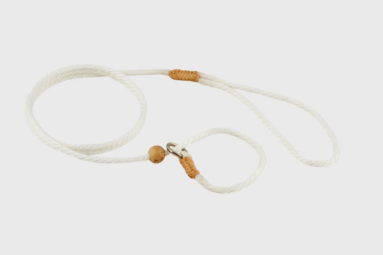 Nylon Slip Lead With Stopper (4 ft  x 1/8in or 4mm)