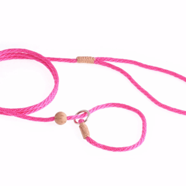 Nylon Slip Lead With Stopper (4 ft  x 1/8in or 4mm)