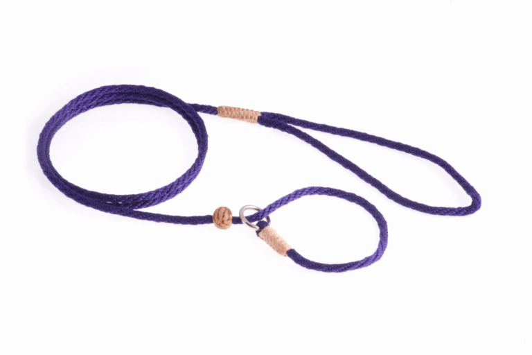 Nylon Slip Lead With Stopper (4 ft  x 1/8in or 4mm)