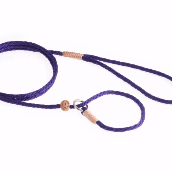 Nylon Slip Lead With Stopper (4 ft  x 1/8in or 4mm)
