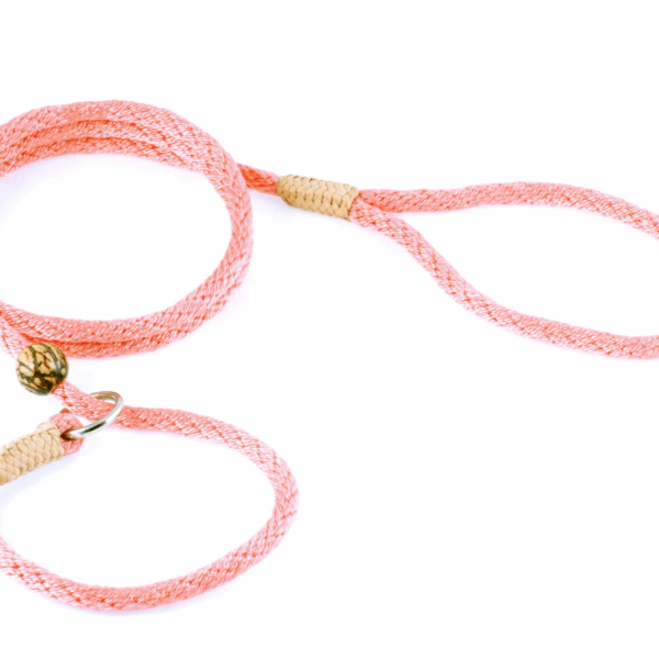 Nylon Slip Lead With Stopper (4 ft  x 1/4in or 6mm)