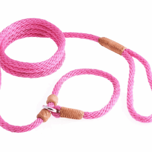 Nylon Slip Leash With 2 Stoppers (6ft  x 5/16in or 8mm)