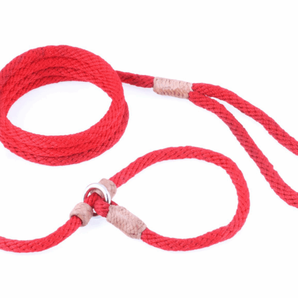 Nylon Slip Leash With 2 Stoppers (6ft  x 5/16in or 8mm)