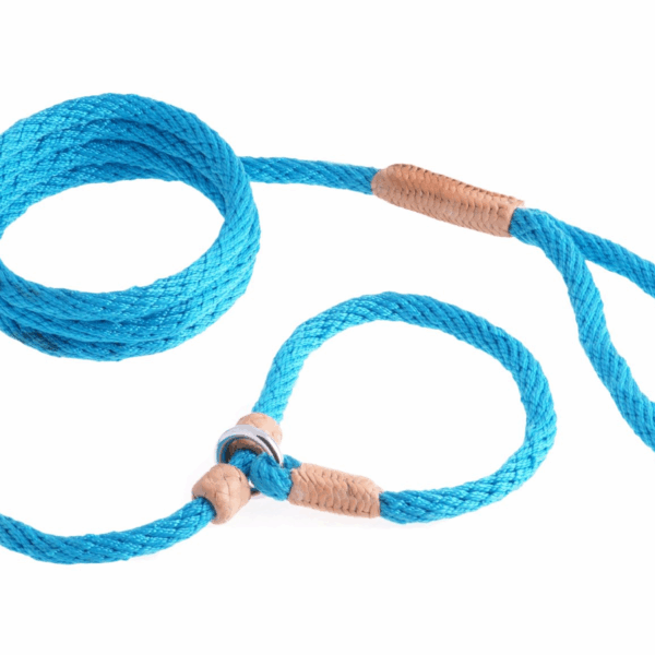 Nylon Slip Leash With 2 Stoppers (6ft  x 5/16in or 8mm)