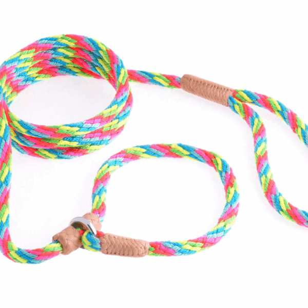 Nylon Slip Leash With 2 Stoppers (6ft  x 5/16in or 8mm)