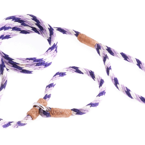 Nylon Slip Leash With 2 Stoppers (6ft  x 5/16in or 8mm)