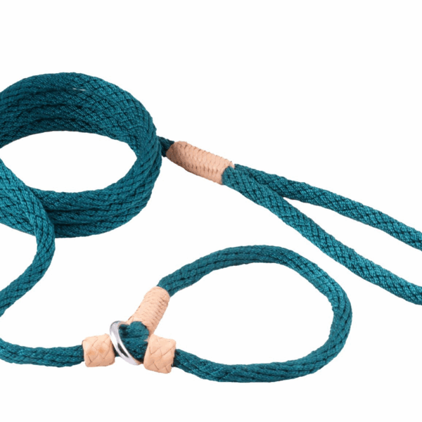 Nylon Slip Leash With 2 Stoppers (6ft  x 5/16in or 8mm)