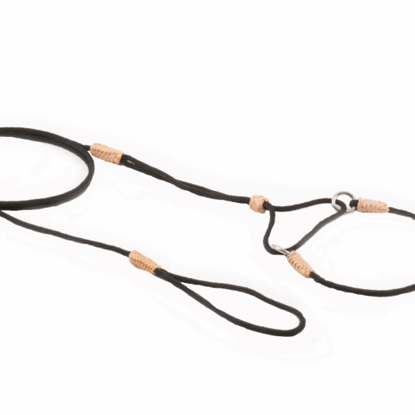 Nylon Martingale Leads (8in x 1/16 or 2 mm)