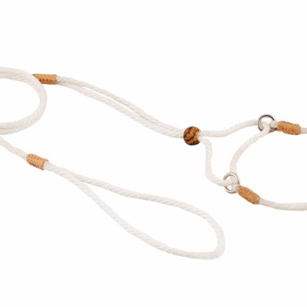 Nylon Martingale Leads (8in x 1/8in or 4mm)