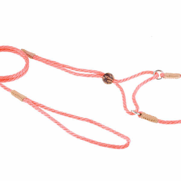 Nylon Martingale Leads (8in x 1/8in or 4mm)