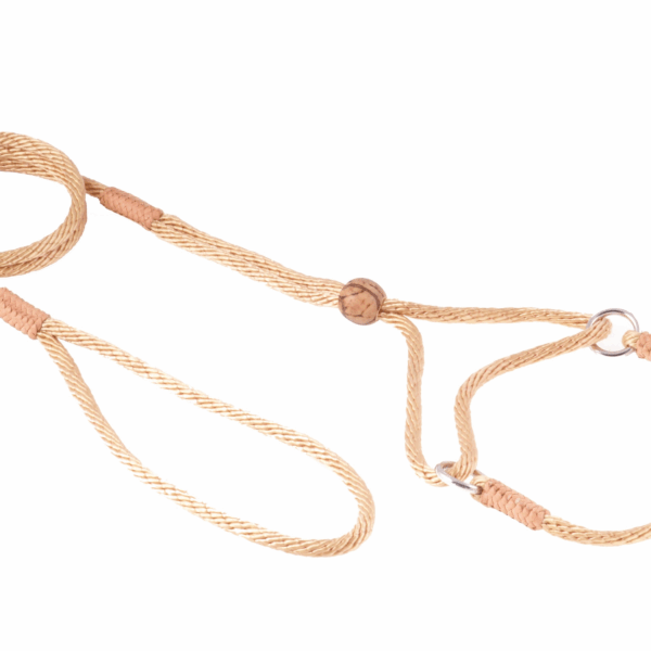 Nylon Martingale Leads (8in x 1/8in or 4mm)