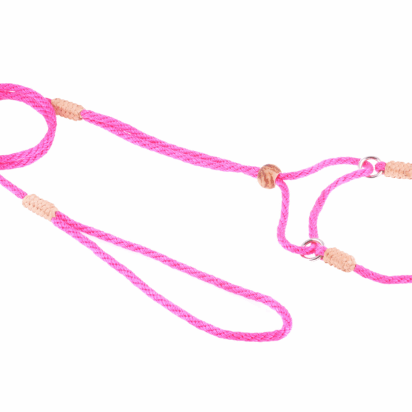 Nylon Martingale Leads (8in x 1/8in or 4mm)
