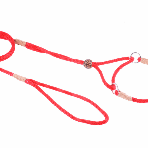 Nylon Martingale Leads (8in x 1/8in or 4mm)