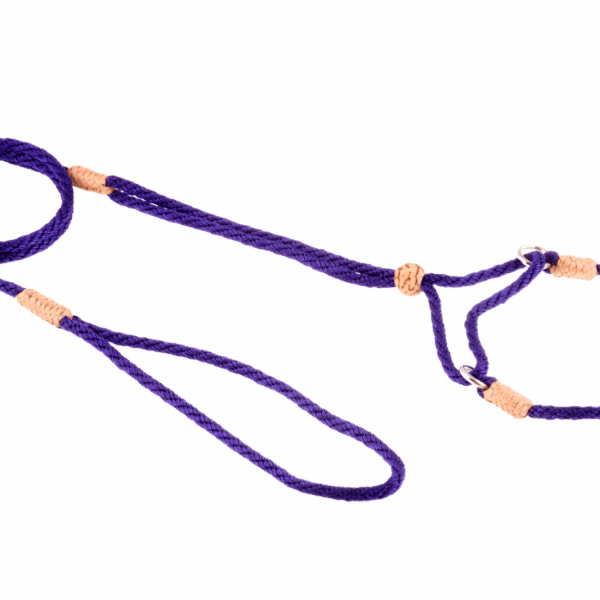 Nylon Martingale Leads (8in x 1/8in or 4mm)