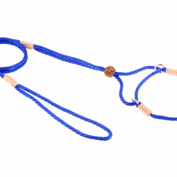 Nylon Martingale Leads (8in x 1/8in or 4mm)