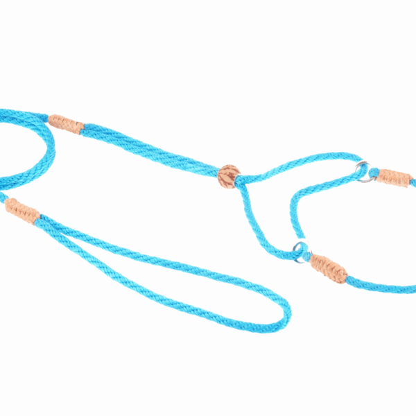 Nylon Martingale Leads (8in x 1/8in or 4mm)