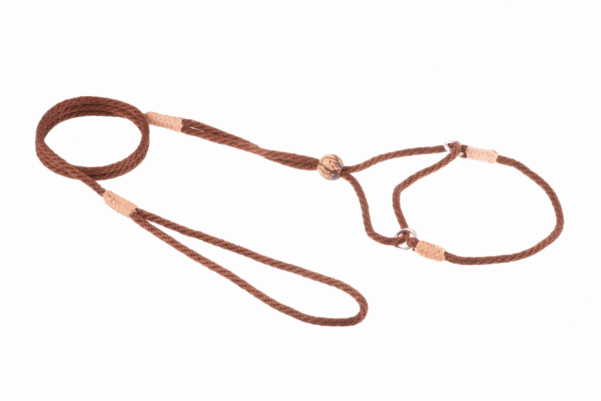 Nylon Martingale Leads (8in x 1/8in or 4mm)