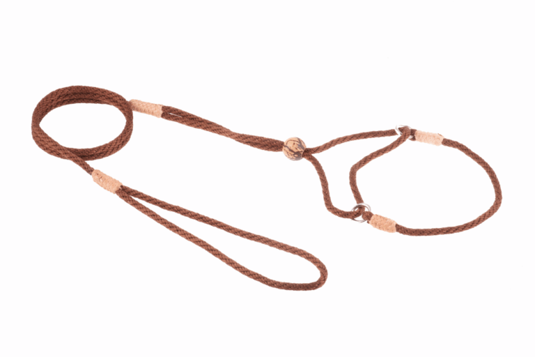 Nylon Martingale Leads (8in x 1/8in or 4mm)