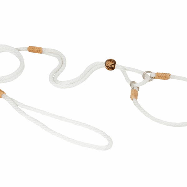 Nylon Martingale Leads (10in x 1/8in or 4mm)