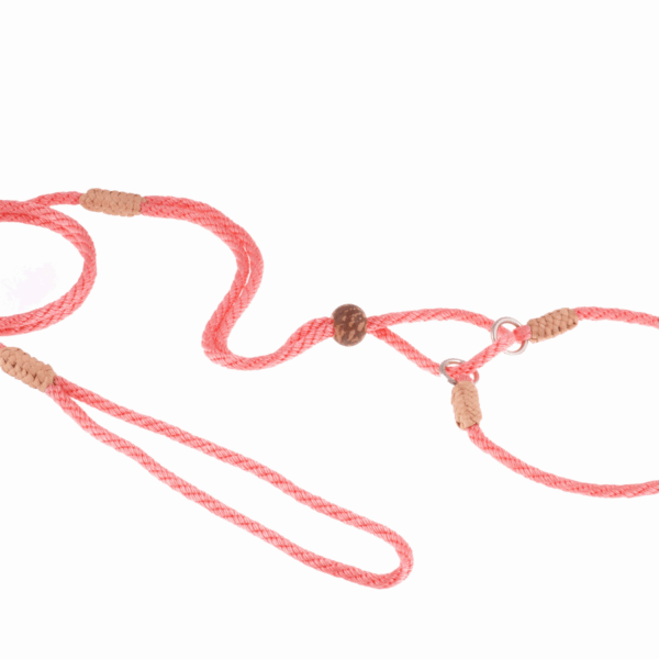 Nylon Martingale Leads (10in x 1/8in or 4mm)