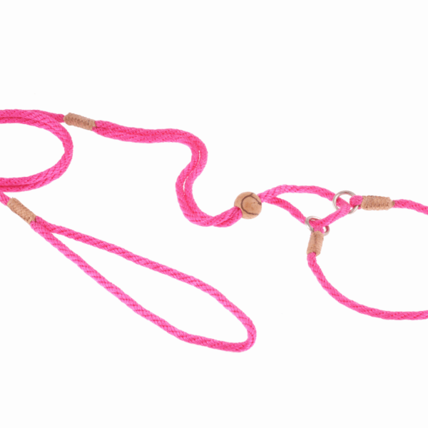Nylon Martingale Leads (10in x 1/8in or 4mm)