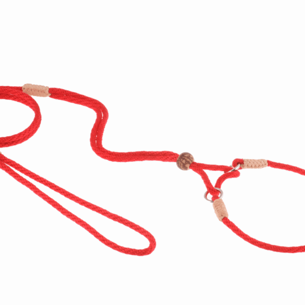 Nylon Martingale Leads (10in x 1/8in or 4mm)