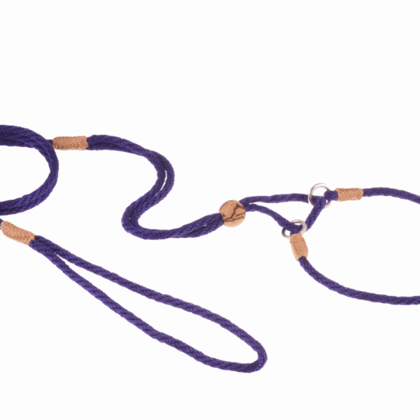 Nylon Martingale Leads (10in x 1/8in or 4mm)