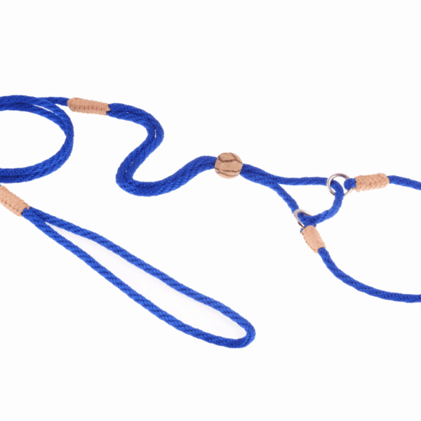 Nylon Martingale Leads (10in x 1/8in or 4mm)