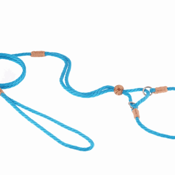 Nylon Martingale Leads (10in x 1/8in or 4mm)