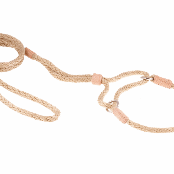 Nylon Martingale Leads (10in x 1/4in or 6mm)