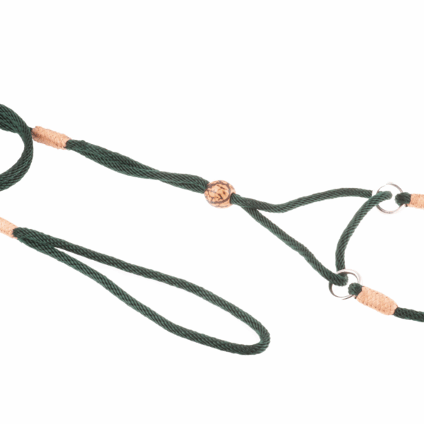 Nylon Martingale Leads (8in x 1/8in or 4mm)