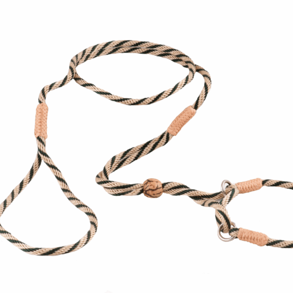 Nylon Martingale Leads (8in x 1/8in or 4mm)