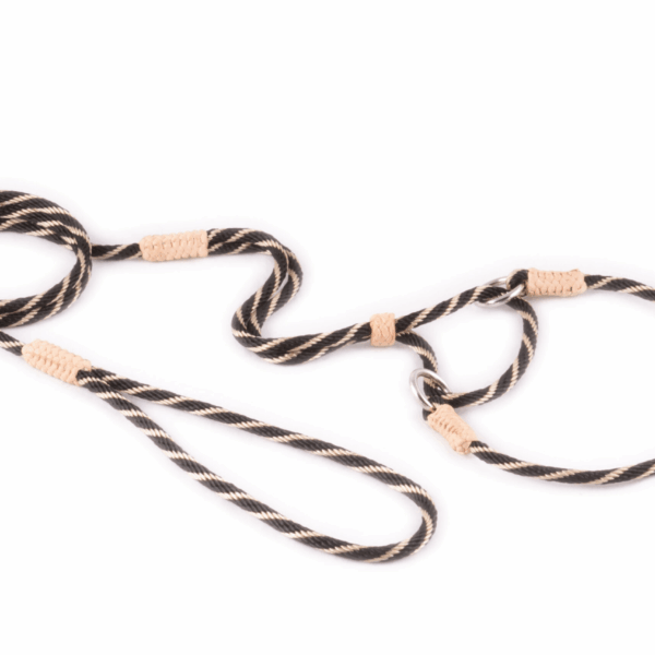 Nylon Martingale Leads (10in x 1/8in or 4mm)