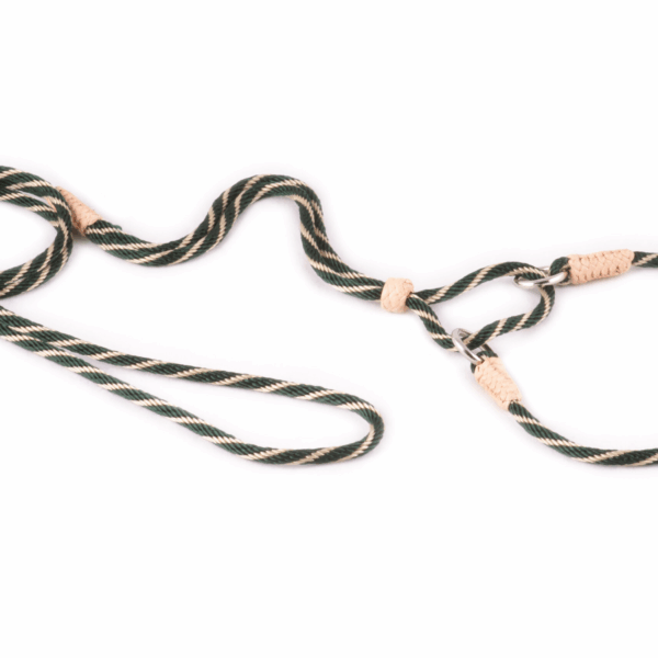 Nylon Martingale Leads (10in x 1/8in or 4mm)