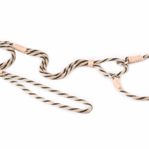 Nylon Martingale Leads (10in x 1/8in or 4mm)