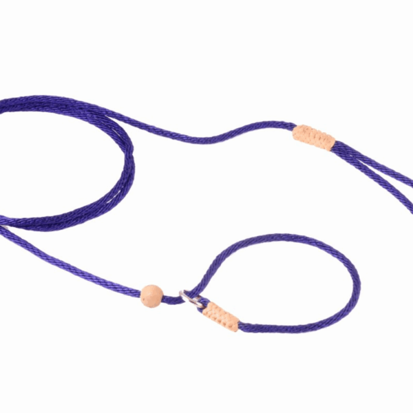 Nylon Slip Lead With Stopper (4 ft  x 1/16 or 2 mm)