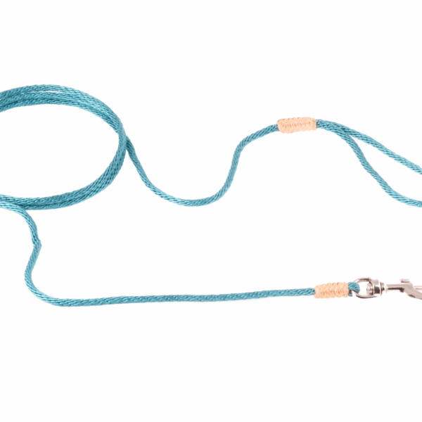 Nylon Snap Leads (4 ft  x 1/16 or 2 mm)