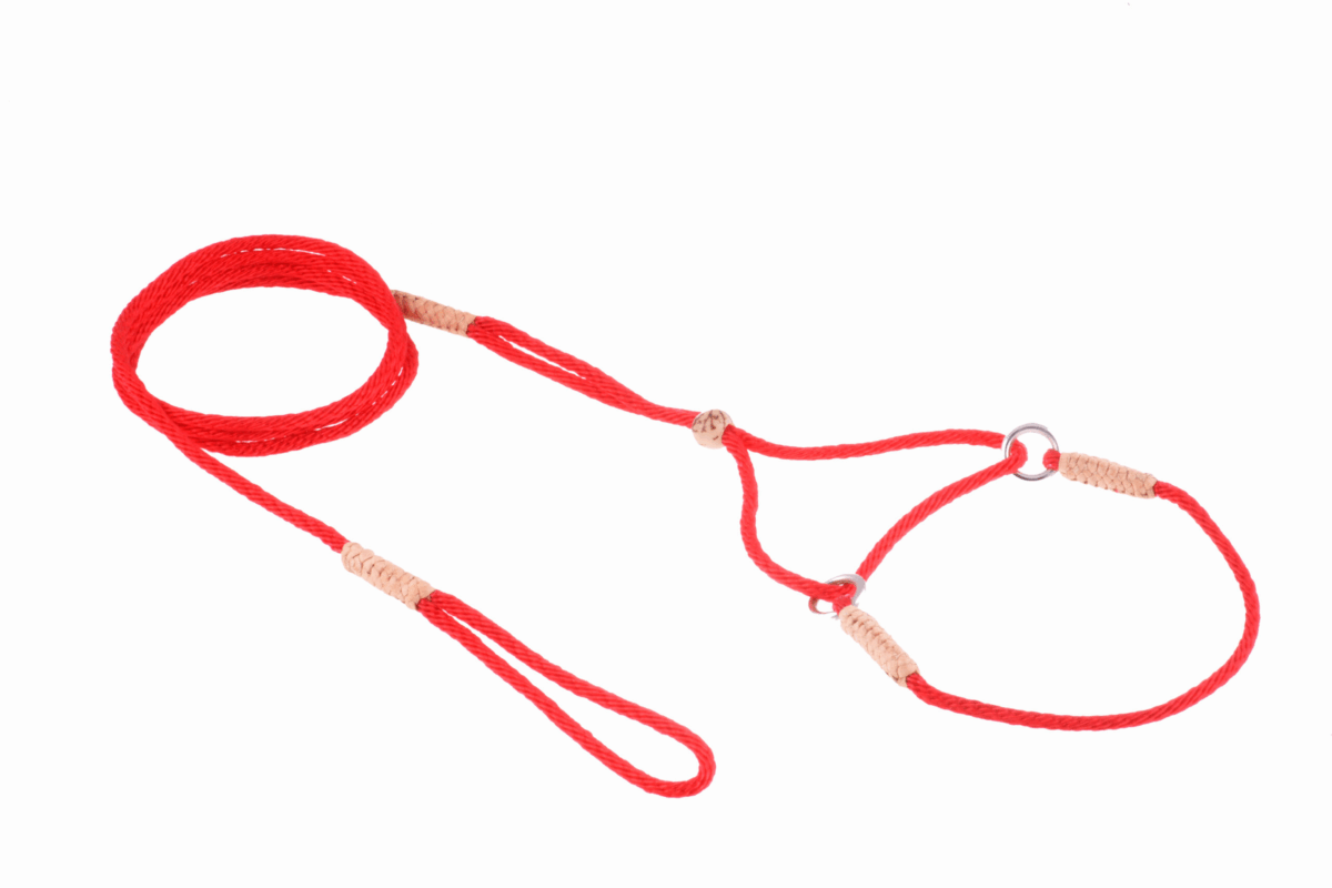 Nylon Martingale Leads (8in x 1/16 or 2 mm)