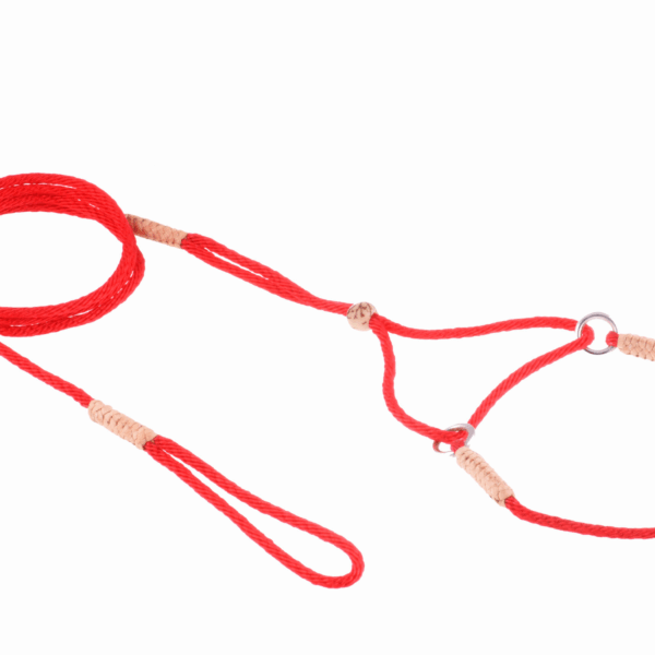 Nylon Martingale Leads (8in x 1/16 or 2 mm)