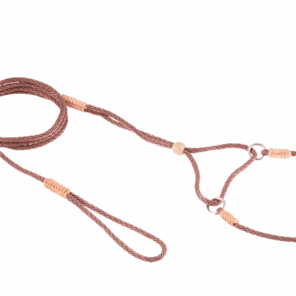 Nylon Martingale Leads (8in x 1/16 or 2 mm)