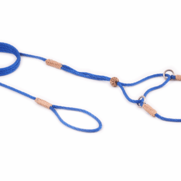 Nylon Martingale Leads (8in x 1/16 or 2 mm)