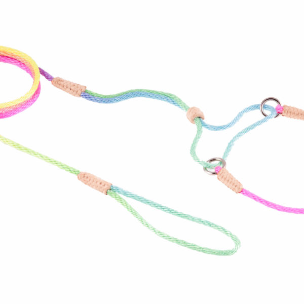 Nylon Martingale Leads (8in x 1/16 or 2 mm)