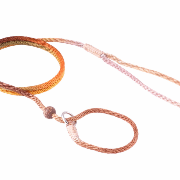 Nylon Slip Lead With Stopper (4 ft  x 1/8in or 4mm)