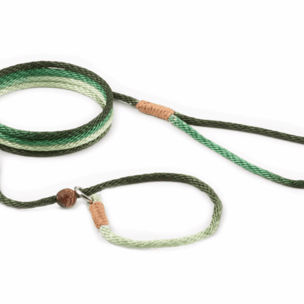 Nylon Slip Lead With Stopper (4 ft  x 1/8in or 4mm)