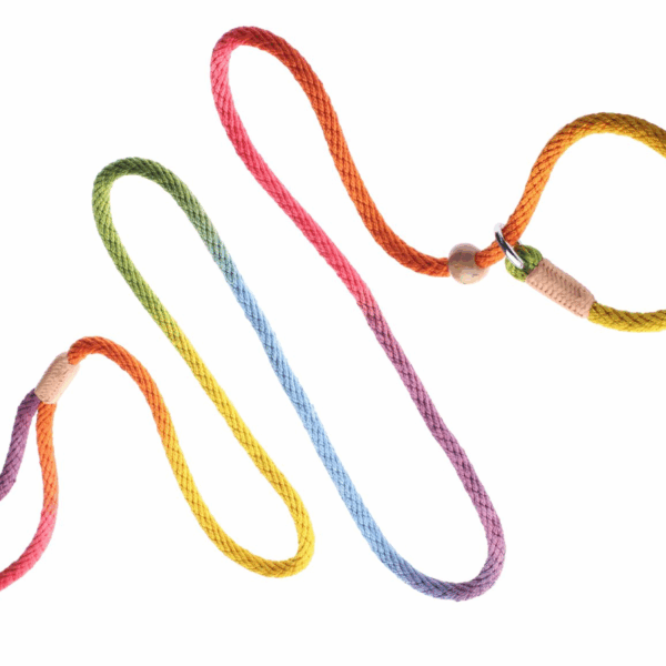 Nylon Slip Leash With 2 Stoppers (6ft  x 5/16in or 8mm)