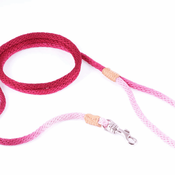 Nylon Snap Leads (4 ft  x 1/8in or 4mm)