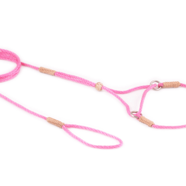 Nylon Martingale Leads (8in x 1/16 or 2 mm)