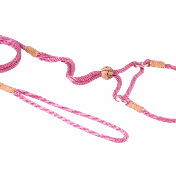 Nylon Martingale Leads (10in x 1/8in or 4mm)