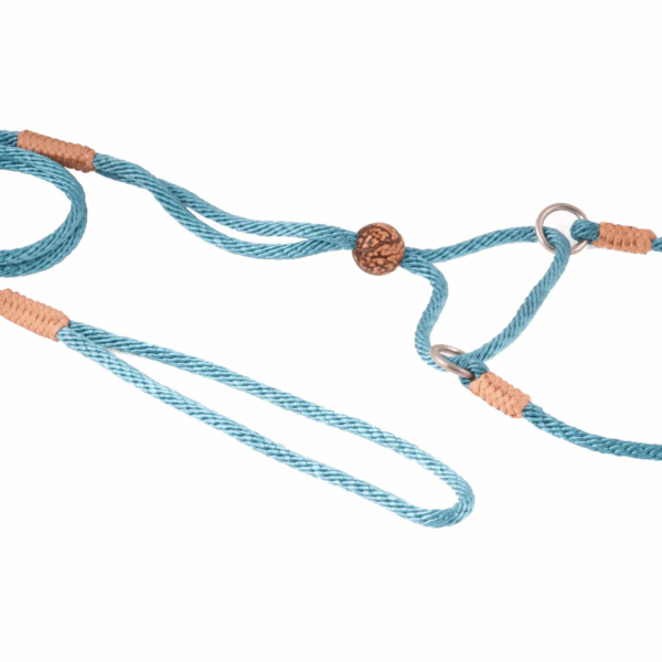 Nylon Martingale Leads (10in x 1/8in or 4mm)